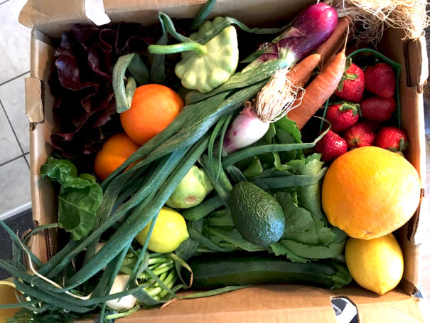 Skip the Store: Seattle CSAs Delivering Produce (& More)