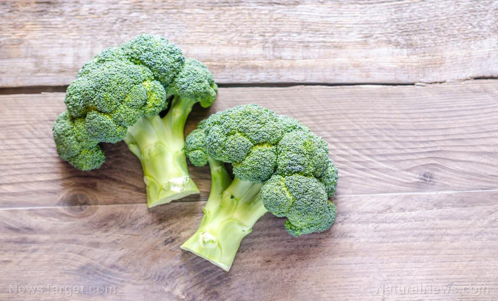 Compound in broccoli may help repair brain damage
