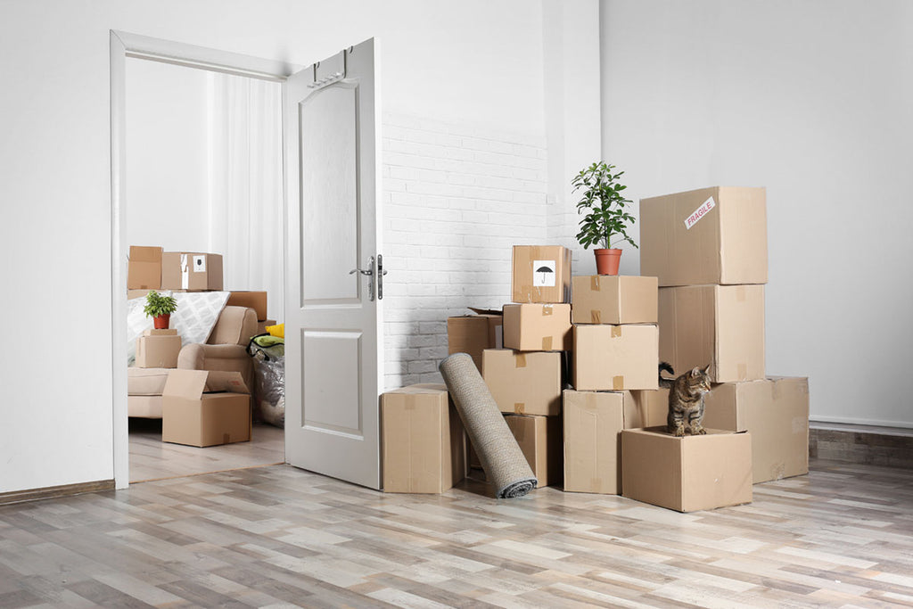Moving can be stressful and sometimes presents quite a hassle, especially if you don’t plan on time and organize it correctly