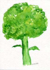 Original kitchen art, Broccoli watercolor painting 5 x 7 by SharonFosterArt